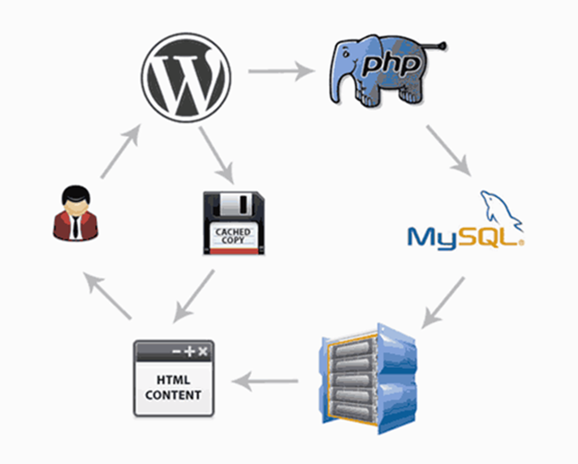 How WordPress Caching Works?